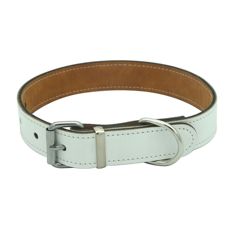 Sublimatie kunstleer hondenhalsband - XL