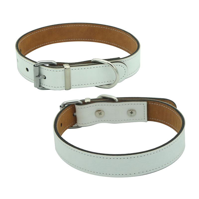 Sublimatie kunstleer hondenhalsband - M